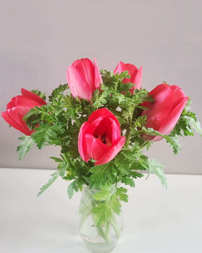 Small hot pink tulip flower arrangment