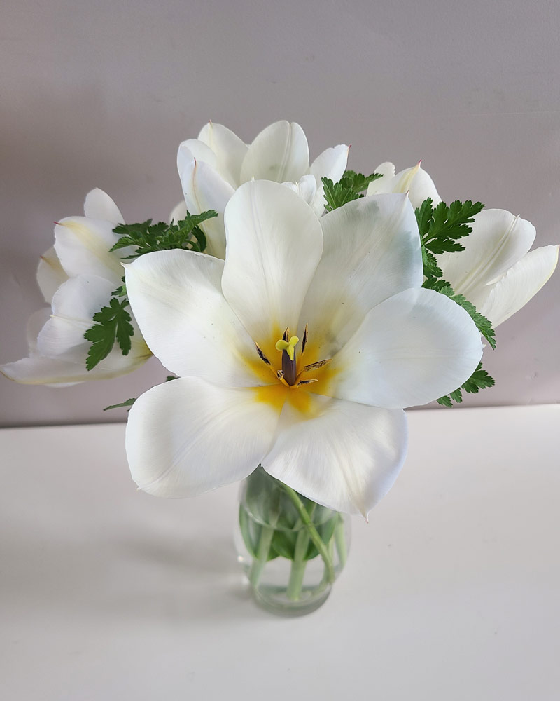 Small white tulip flower arrangment