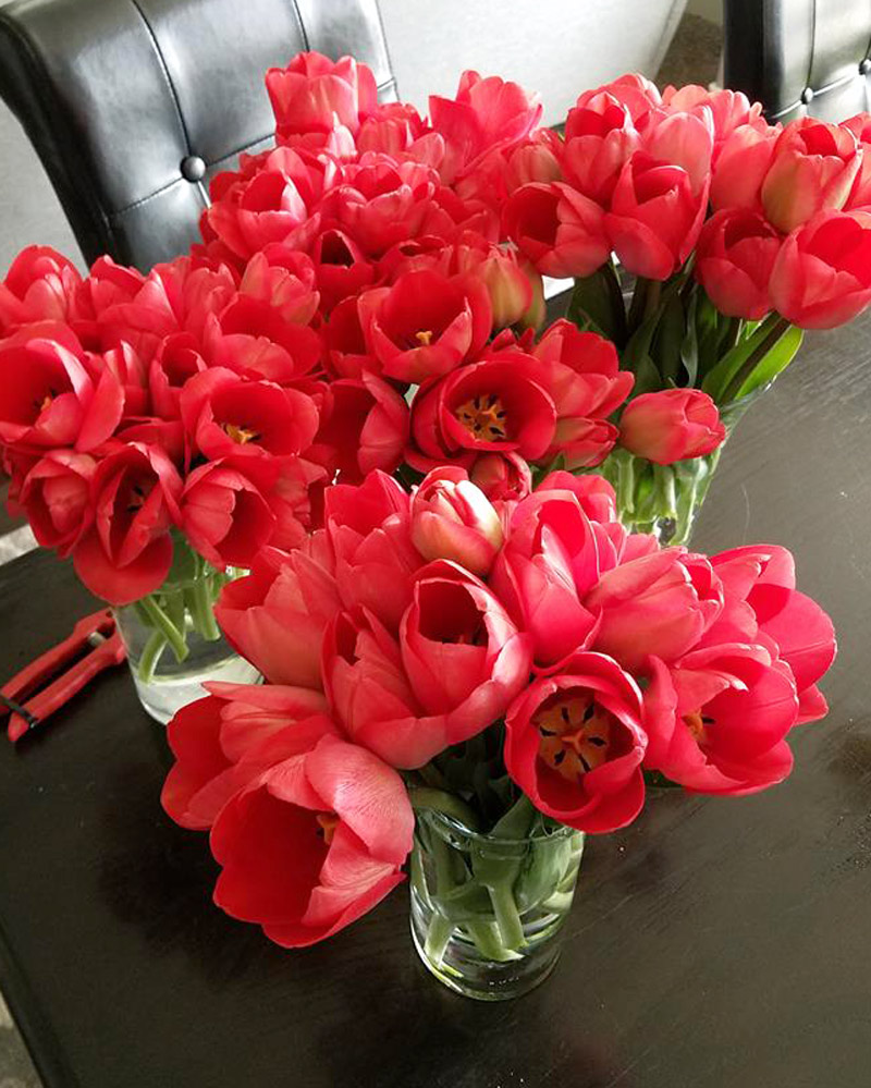 the florist is arranging hundreds of hot pink tulip stems on a table